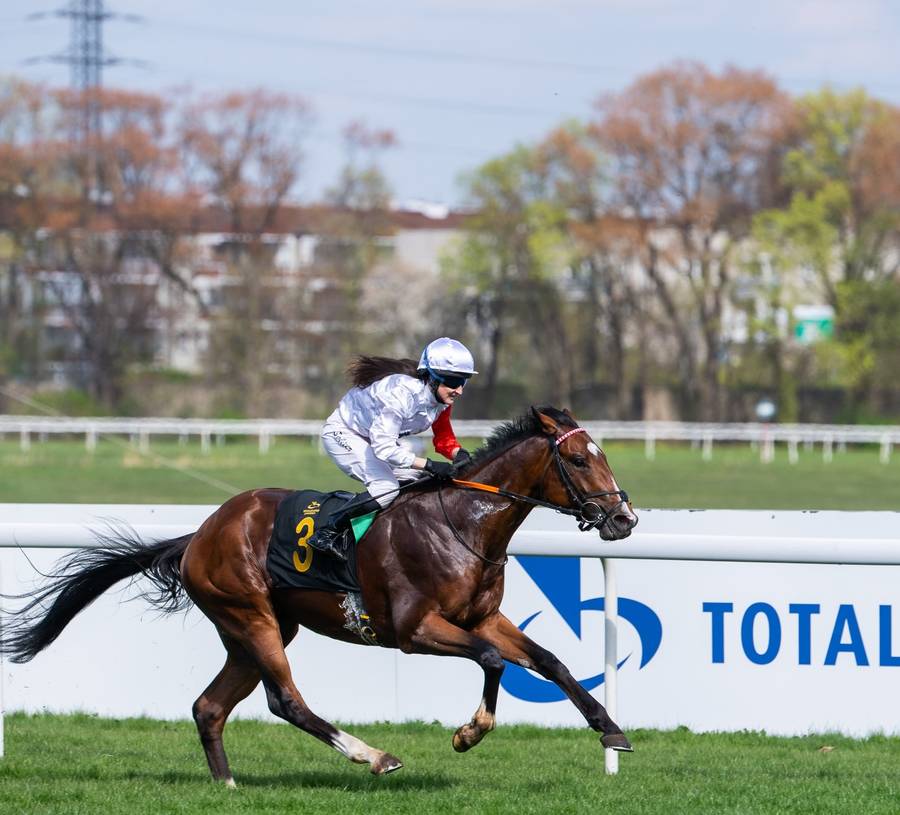 Otwarcie sezonu wyścigowego na Służewcu, fot. Instagram