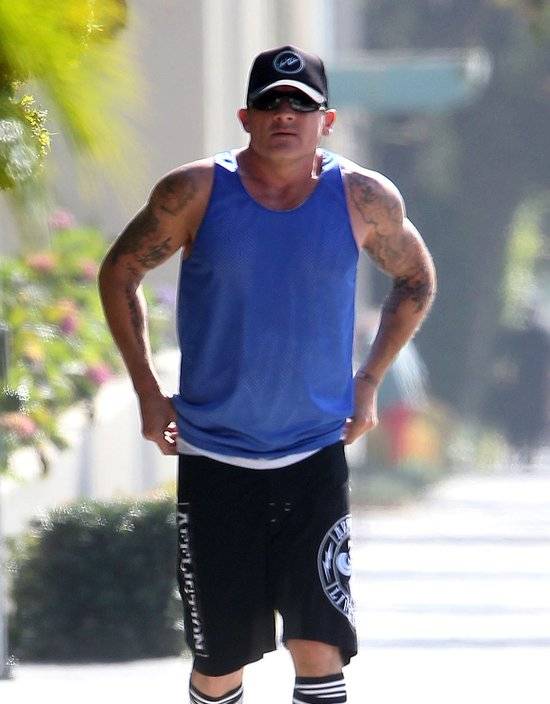 Prześwitująca sukienka AnnaLynne McCord