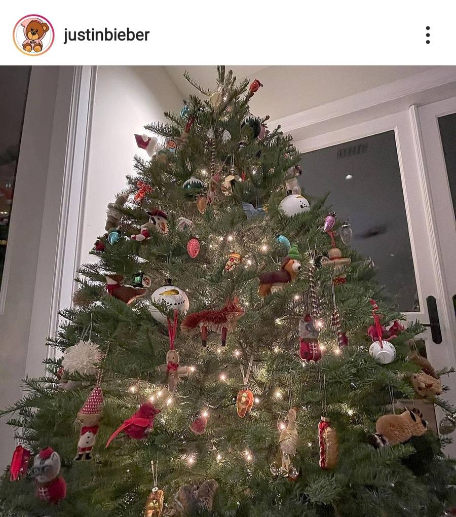 Choinki gwiazd i celebrytów w 2020 roku