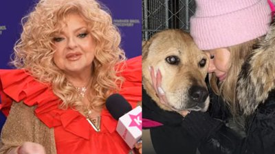 Tylko u nas! Doda wybiela wizerunek działaniami w schroniskach?! Gessler nie zostawiła na niej suchej nitki