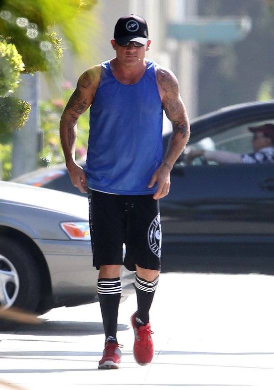 Prześwitująca sukienka AnnaLynne McCord