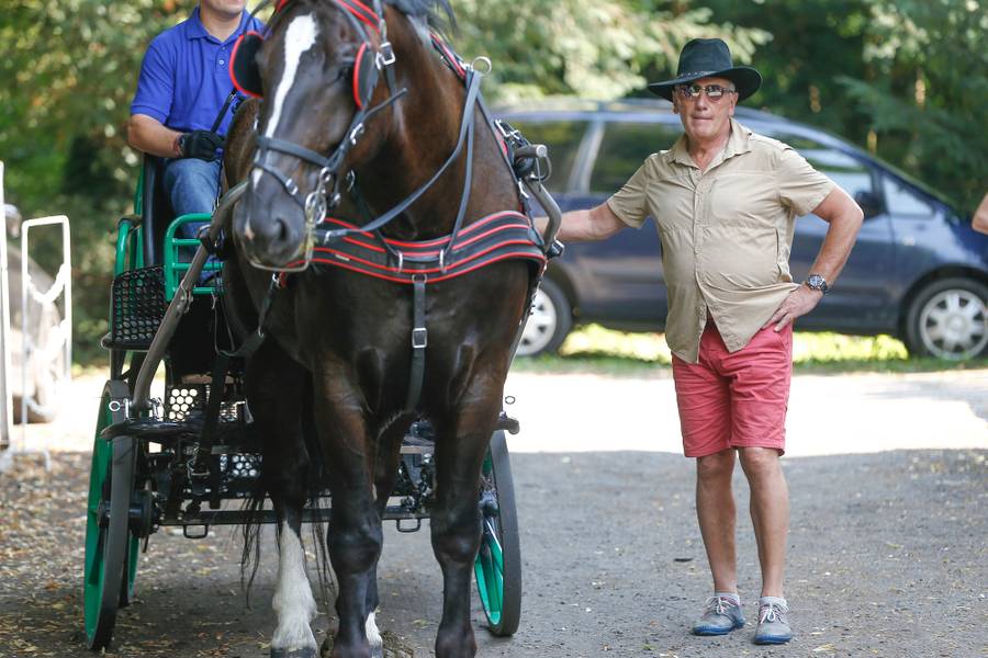 XXII Jeździeckie Mistrzostwa Gwiazd. Bogusław Linda w wydaniu, jakim go nie znamy