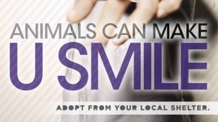 Justin Bieber namawia do adopcji