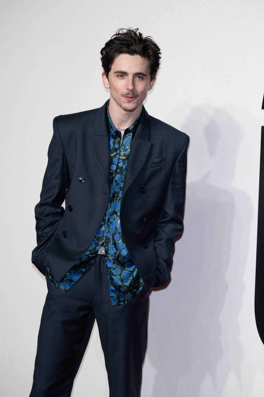 Timothée Chalamet, fot. Forum.