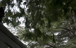 Odnaleźli złoty pociąg, teraz podali swoje nazwiska