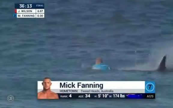 To teraz najpopularniejszy film w internecie. Szok! [VIDEO]