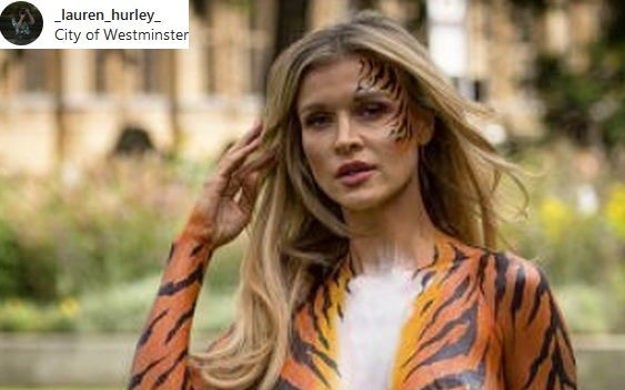 Joanna Krupa pomalowana w tygrysie paski w obronie zwierząt. Prawie NAGA