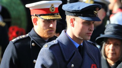 Harry i William mogą być niepocieszeni. Majątek Lady Diany przejdzie im koło nosa