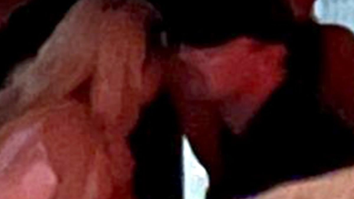 New York, CA - *PREMIUM-EXCLUSIVE* - **WEB EMBARGO UNTIL SEPTEMBER 14th AT 8:15 PM ET** After recently breaking up with his stunning girlfriend Camila Marrone, Leonardo DiCaprio wasted no time moving on as he appears to be engaging in a deeply flirty conversation with Supermodel Gigi Hadid at Casa Cipriani in NYC. *UK Clients - Pictures Containing Children Please Pixelate Face Prior To Publication*,Image: 722608370, License: Rights-managed, Restrictions: , Model Release: no, Pictured: Leonardo DiCaprio, Gigi Hadid, Credit line: BACKGRID / Backgrid USA / Forum