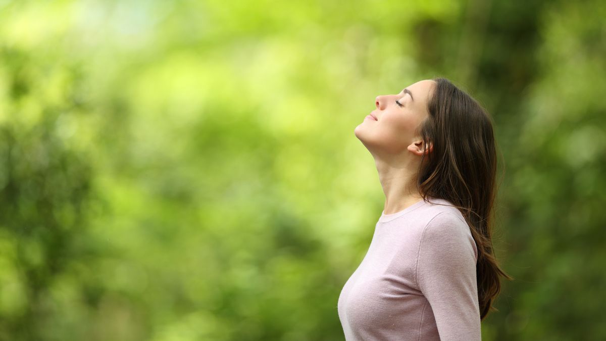 Profile of a relaxed woman breathing fresh air in a green forest