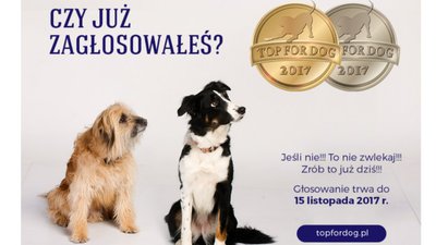 Konkurs TOP FOR DOG 2017 – zapraszamy do głosowania w 4. edycji
