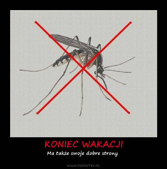 Koniec wakacji…