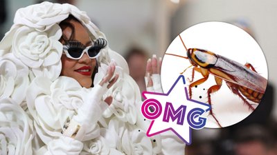 Met Gala 2023: Karaluch SKRADŁ SHOW Rihannie!