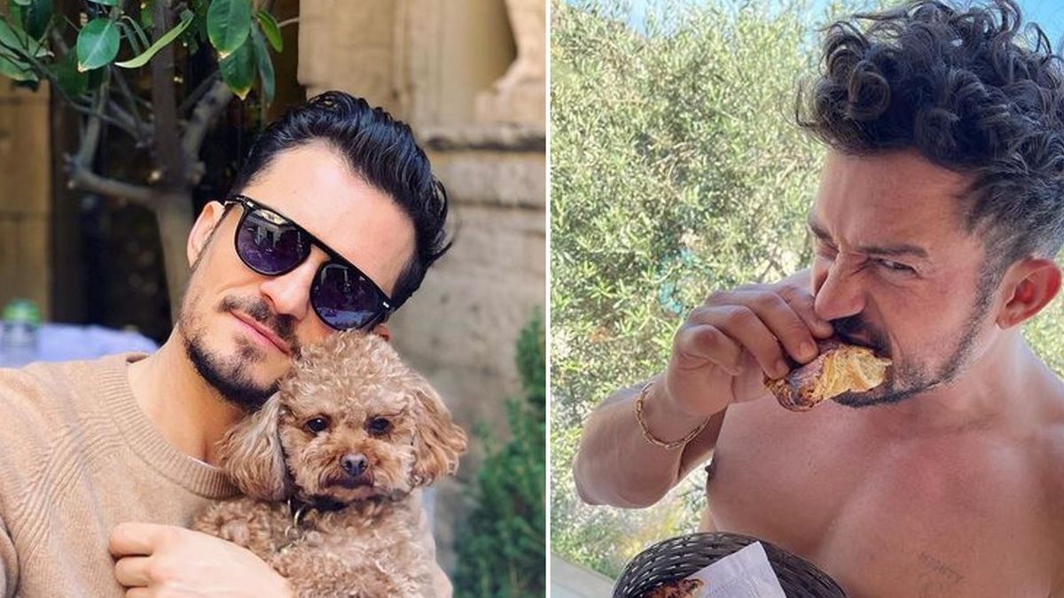 Orlando Bloom miał niebezpieczne spotkanie z żarłaczem białym