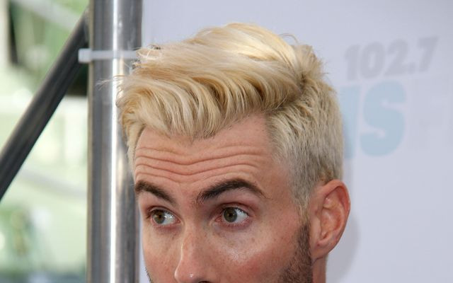 Wyciągnięto wypowiedź Adama Levine’a sprzed lat, “Monogamia nie jest w naszym składzie genetycznym”