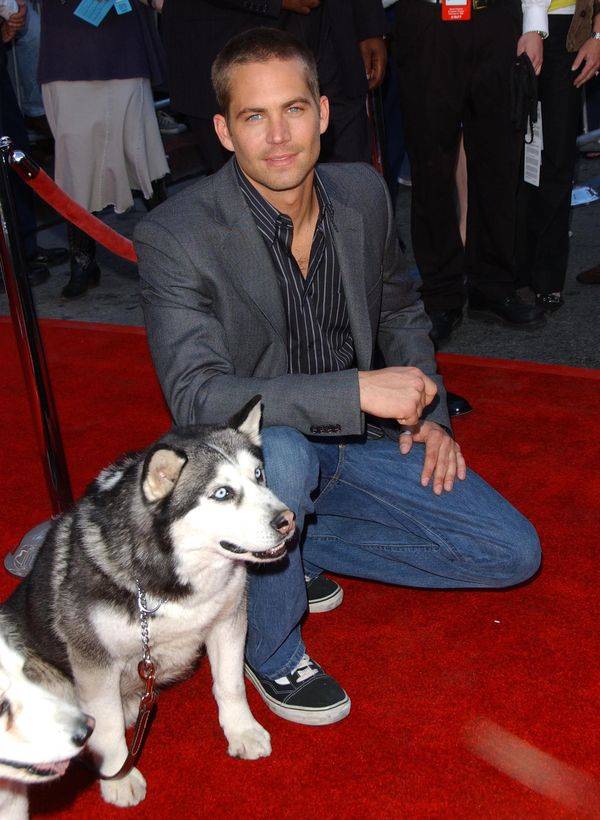 Paul Walker – zdjęcia