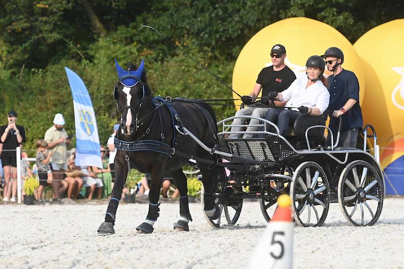 Mistrzostwa Jeździeckie Gwiazd 2024. Katarzyna Dowbor, Dariusz Kordek z córką, Marcin Mroczek…