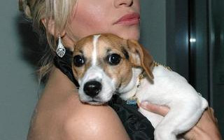 Frytka usilnie zmienia imię