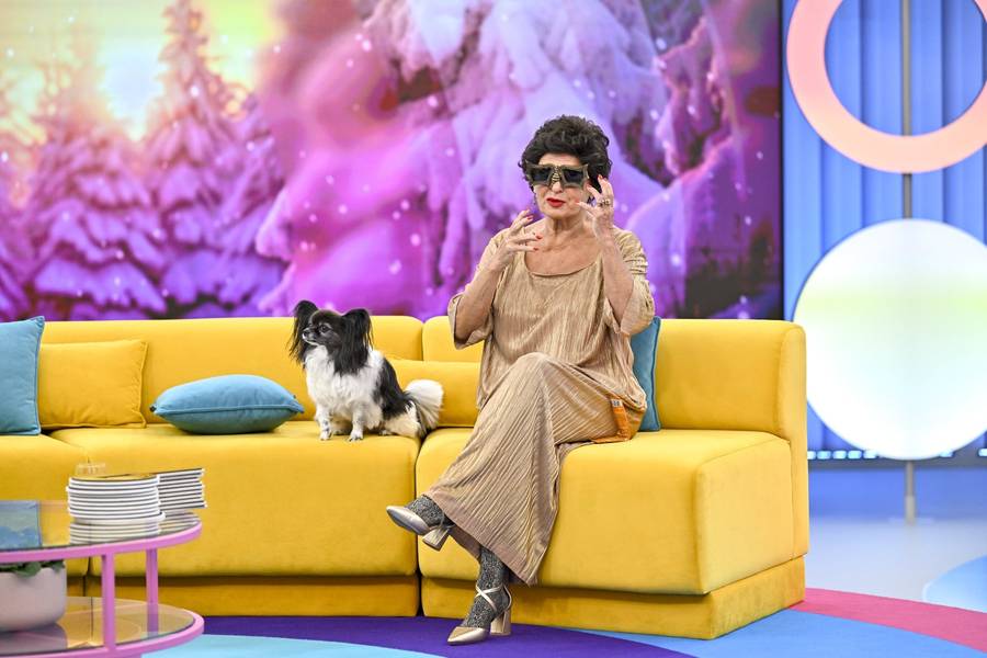 Niedzielny poranek z “Halo Tu Polsat”! Ewa Kasprzyk z pieskiem Shakirą, Paweł i Joanna Orleańscy (FOTO)