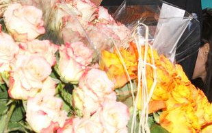 Janda czy Stenka? Kto będzie głosem II linii metra?