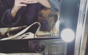 Szulim w sylwestrowej kreacji i Starak w garniturze…