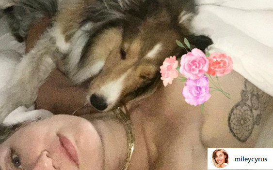 Miley Cyrus pozuje topless na instagramie