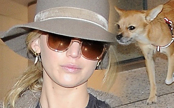 Stylowa Jennifer Lawrence z pieskiem na lotnisku (ZDJĘCIA)