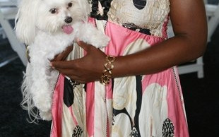 Czy pupil Star Jones nie wolałby pobiegać? (FOTO)