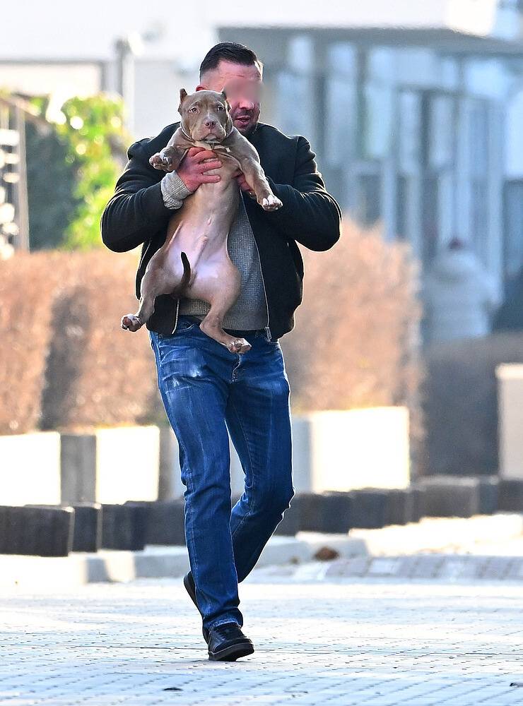 Gwiazda spędza święta z partnerem, fot. KAPiF