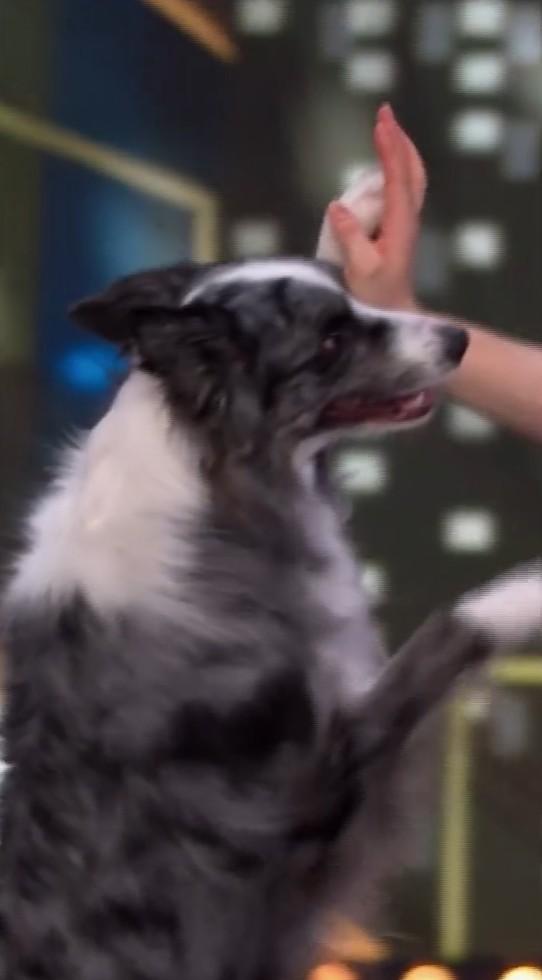 Złoty przycisk w "Mam Talent!, fot. Instagram