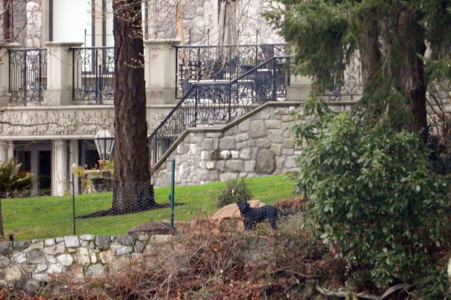 To TUTAJ ukrywają się Meghan i Harry! (ZDJĘCIA)