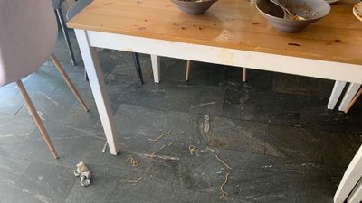 Poznańska restauracja, która zakazała wstępu dzieciom ponownie zabrała głos!