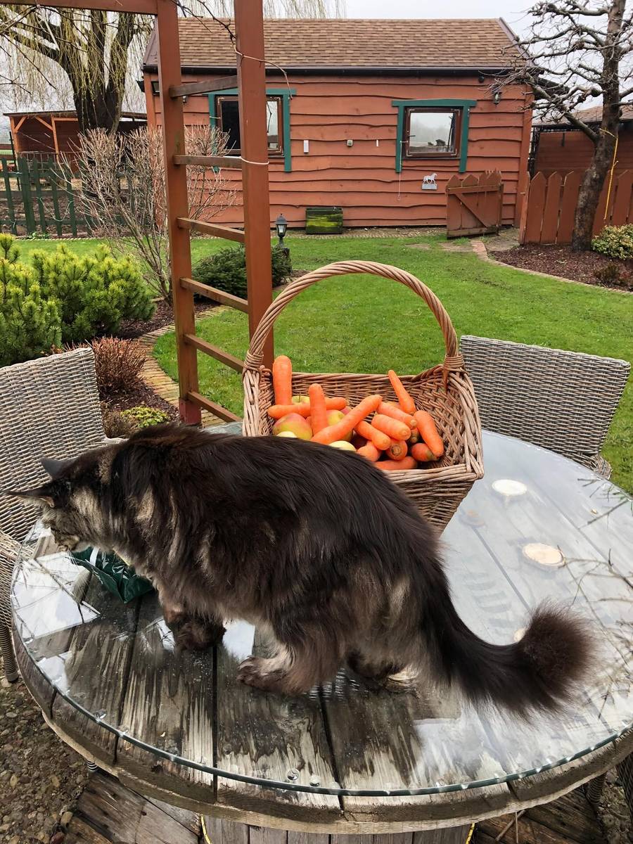 Dom Katarzyny Dowbor, fot.: Instagram