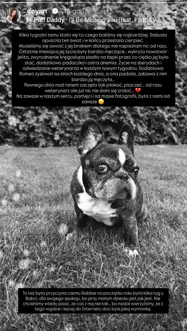 Deynn i Daniel Majewski pożegnali psa, fot. Instagram