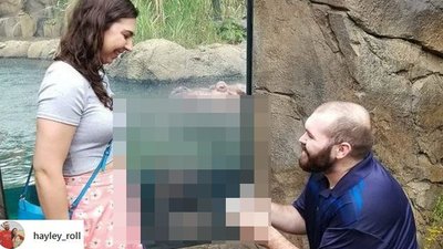 To zdjęcie z zaręczyn obiegło CAŁY ŚWIAT!