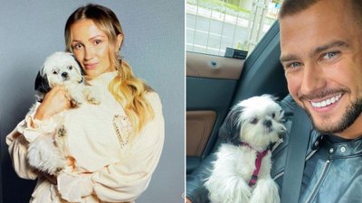 Sylwia Madeńska oskarża Mikołaja Jędruszczaka o kradzież psa. Nawet jego rodzina jest bezradna