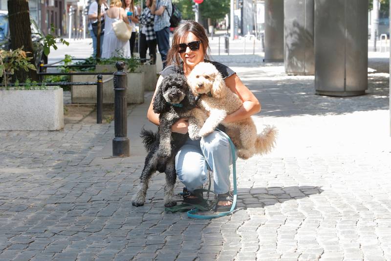 WOW! Julia Kamińska niezwykle elegancka w Dzień Dobry TVN