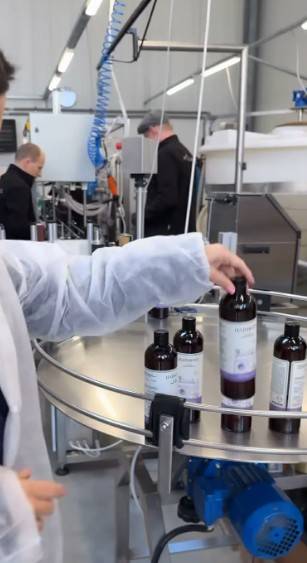 Tak wygląda firma Cichopek, fot. Instagram