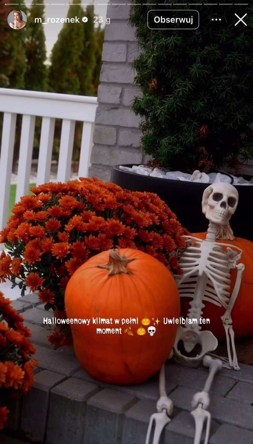 Tak Rozenek udekorowała swoją nową willę! Dynie i zwisające kościotrupy to dopiero początek…(FOTO)