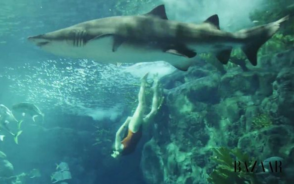 To nie fotomontaż! Rihanna pływa z rekinem! (FOTO)