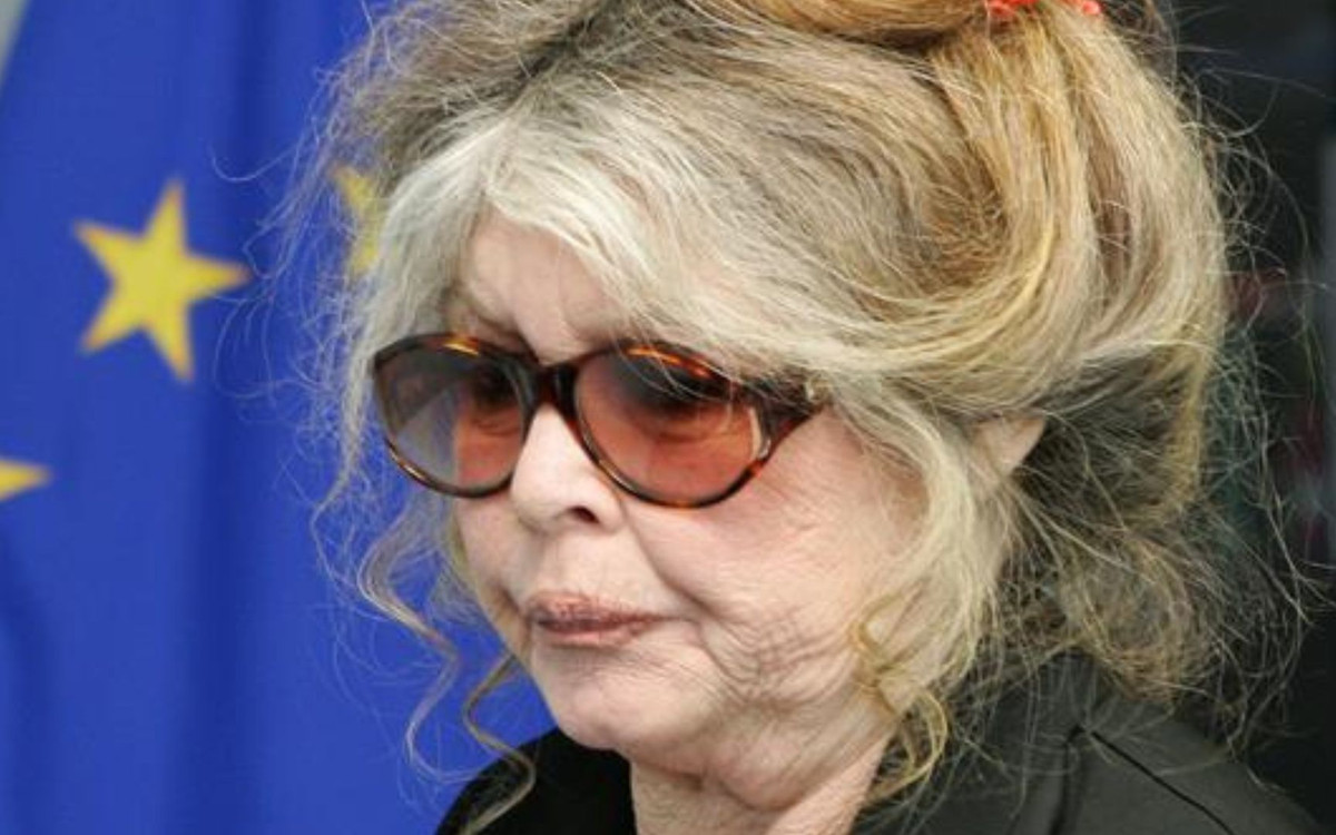 Brigitte Bardot w szpitalu! Przykre wieści na temat legendy kina