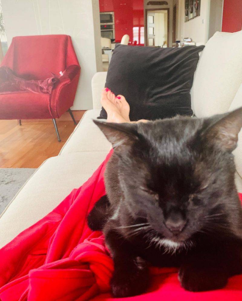 Dom Majki Jeżowskiej/Instagram/majka_jezowska_