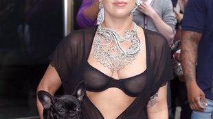 U Lady Gagi PIES pasuje do stylizacji (FOTO)