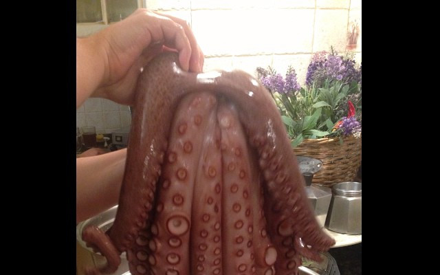 Marta Grycan to świetna kucharka