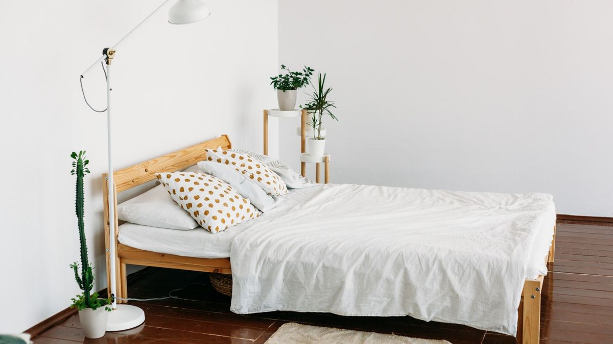 homhome interior, bed, pillows, blankets, indoor plants, light lamp, apartmente interior, bed, pillows, blankets, indoor plants, light lamp, apartment