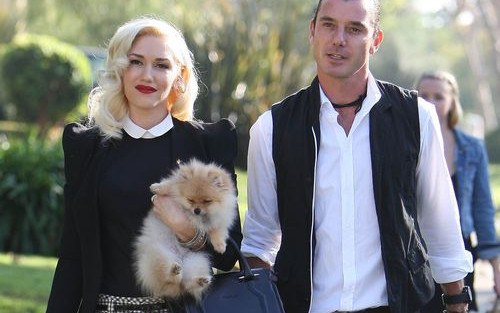 Gwen Stefani z rodziną w Dzień Dziękczynienia