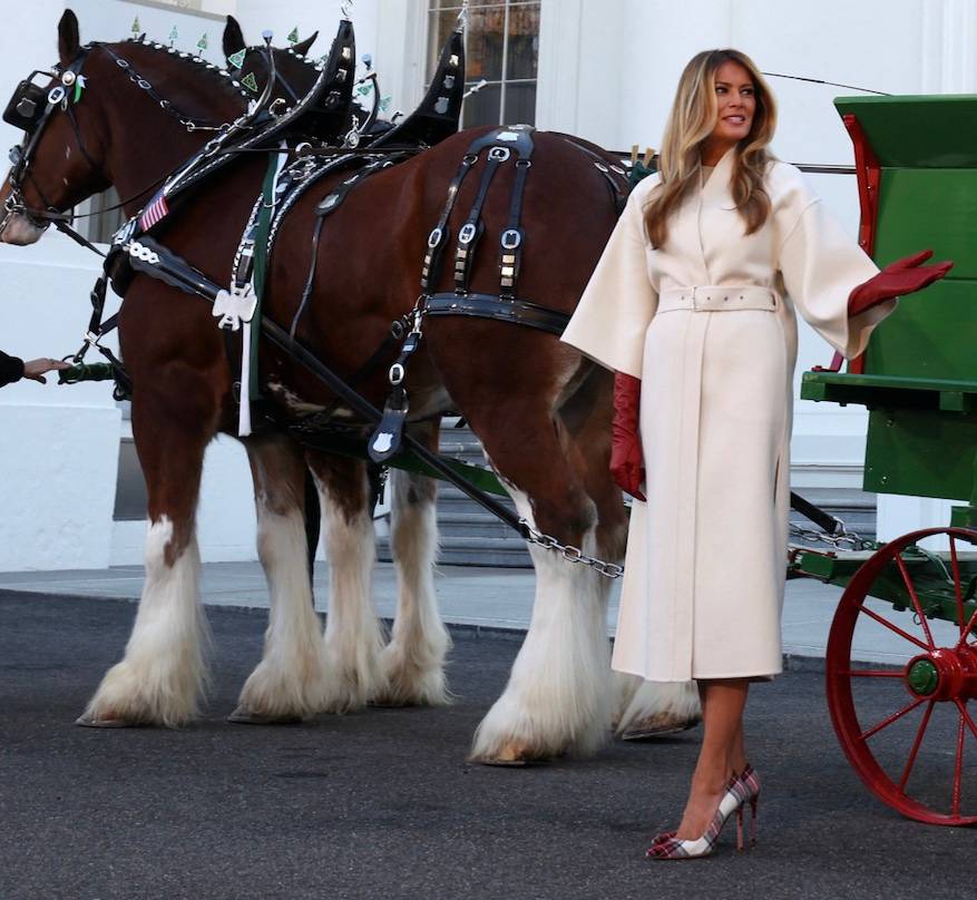 Melania Trump odbiera choinki do Białego Domu. Jej stylizacja to cudo! Tak się kreuje trendy