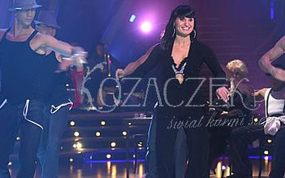 Taniec z Gwiazdami – odcinek specjalny