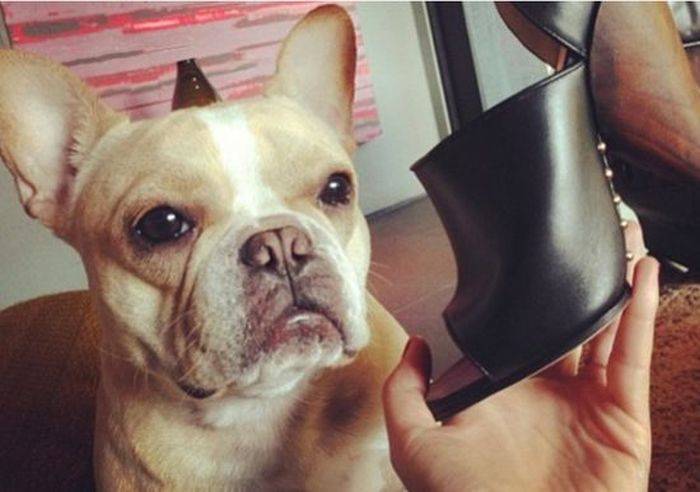 Victoria’s Secret: “Co jest sexy w 2016?”