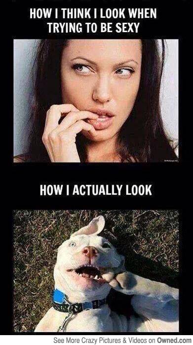 Angelina Jolie – memy